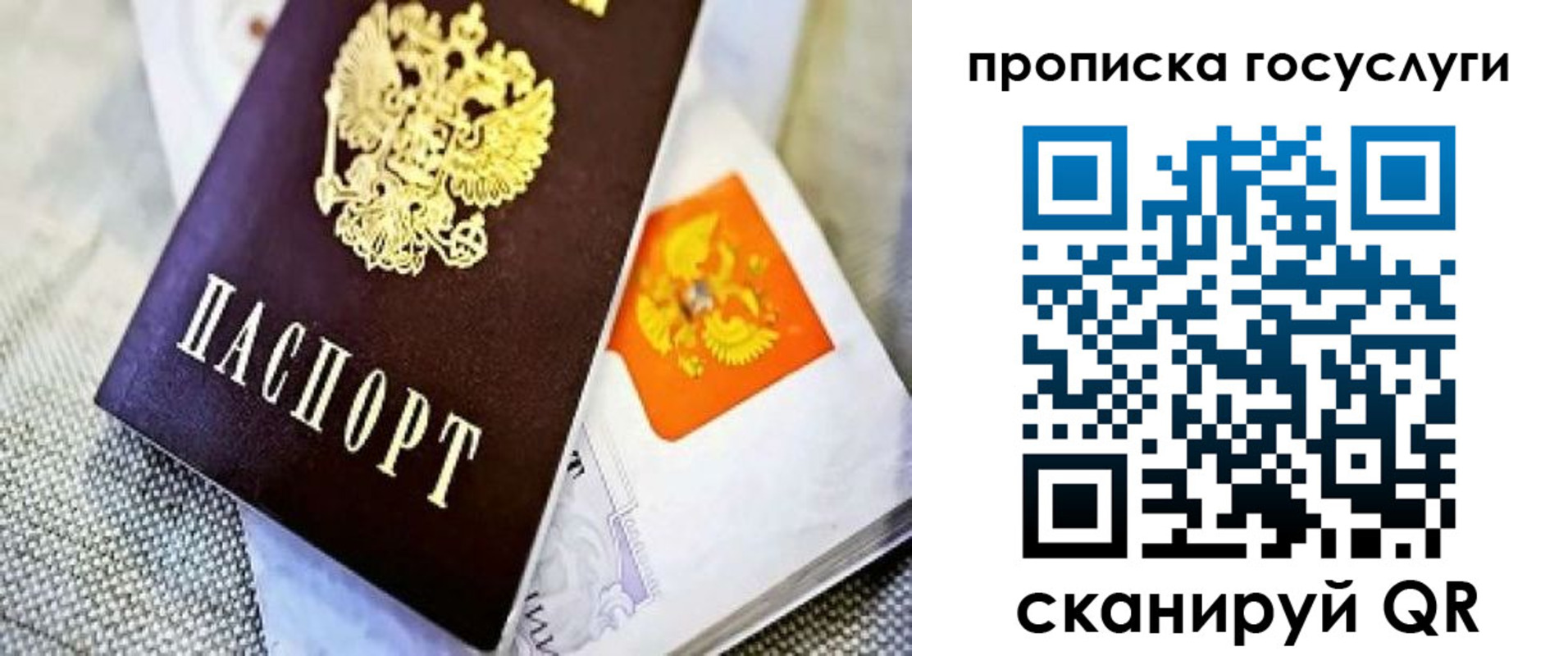 временная прописка в Долгопрудном